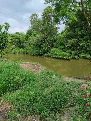ขายที่ดินพร้อมสิ่งปลูกสร้าง 1 ไร่ 90 ตร.ว. ลาดหลุมแก้ว ปทุมธานี เหมาะทำ Data Center ใกล้ถนน 340 และ 346 5