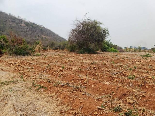 ที่ดินบ้านพร้อมโอนเจ้าของขายเอง ที่ดินติดภูเขา ต.พระนอน อ.เมือง จ.นครสวรรค์ วิวสวยมากๆๆ 5ไร่เศษ โทร 096-882-1857 5