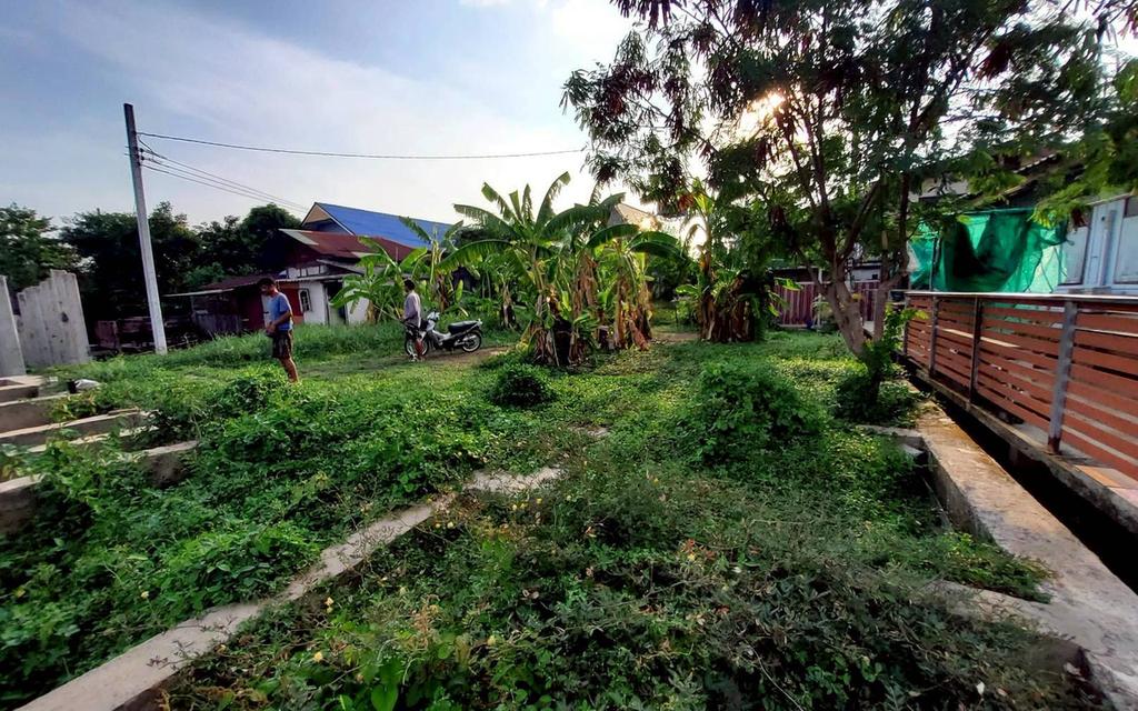 ขายที่ดินวิวแม่น้ำเจ้าพระยา 148 ตรว ติดถนนสาธารณะ ถมแล้ว ซ.วัดตาล บางตะไนย์ ปากเกร็ด นนทบุรี 6