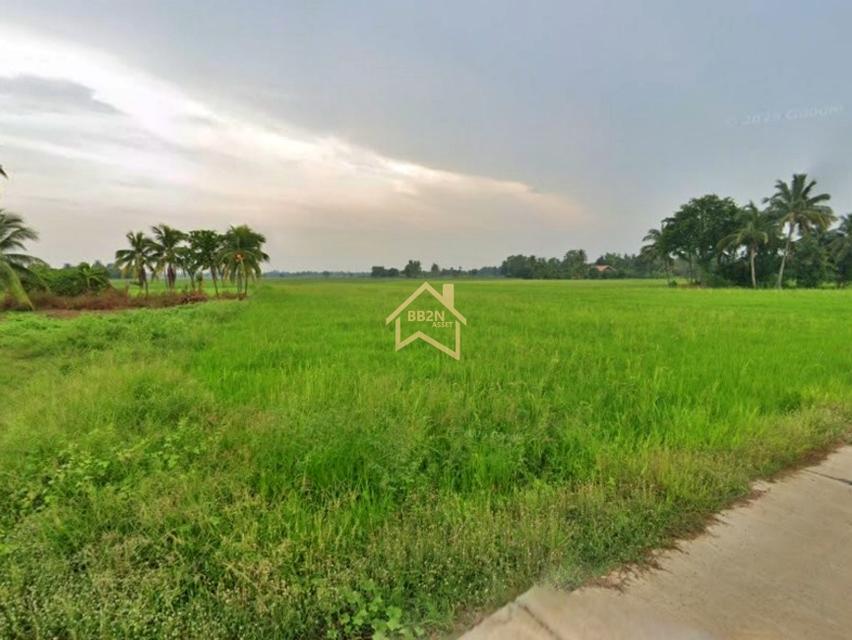 ที่ดิน 10 ไร่ ต.บ้านไร่ อ.บางกระทุ่ม จ.พิษณุโลก 3