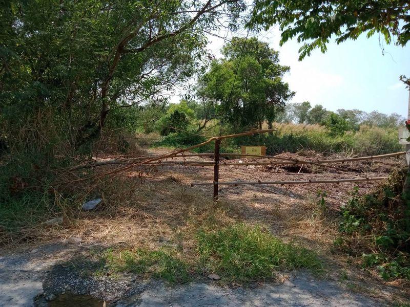 ขายถูกที่สุดในย่านนี้ ที่ดินถนนรามอินทราซอย5 เนื้อที่ 218 ตรว. ขายวาละ 25,000 บาท บางเขน กรุงเทพฯ 14