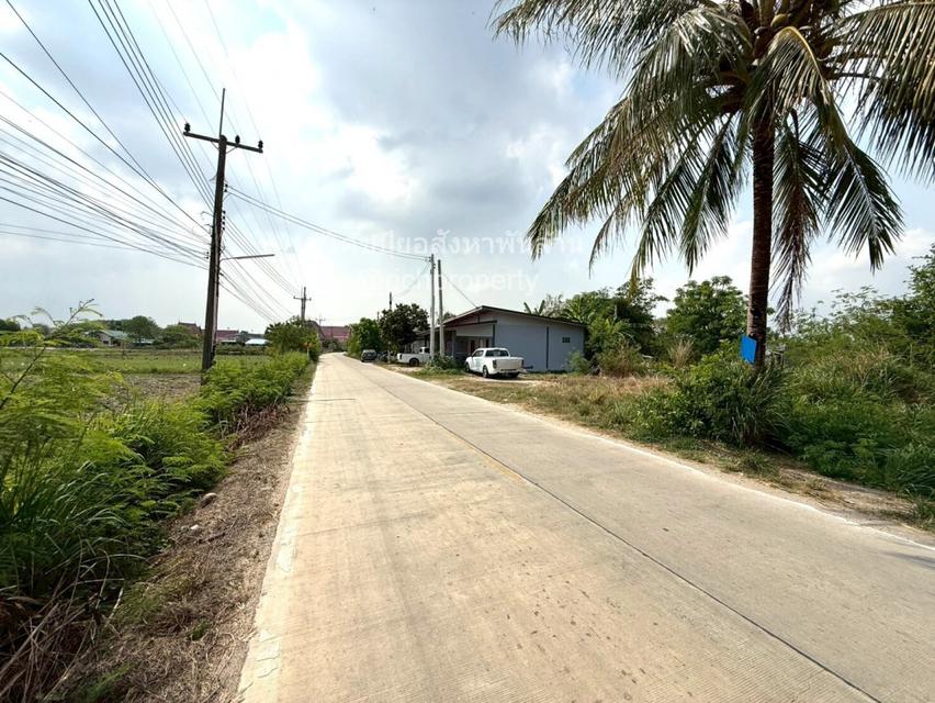 ขาย ที่ดิน ME327 แปลงเล็ก ทำเลดี ที่สูง หนองขยาด พนัสนิคม ชลบุรี . 3 ไร่ 3 งาน 71 ตรว เหมาะสร้างบ้าน บ้านจัดสรร โกดัง คล 4