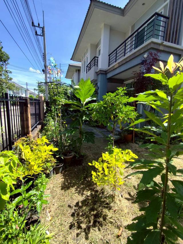 บ้านมิอสอง เดอะแพลนท์ อยุธยา 5