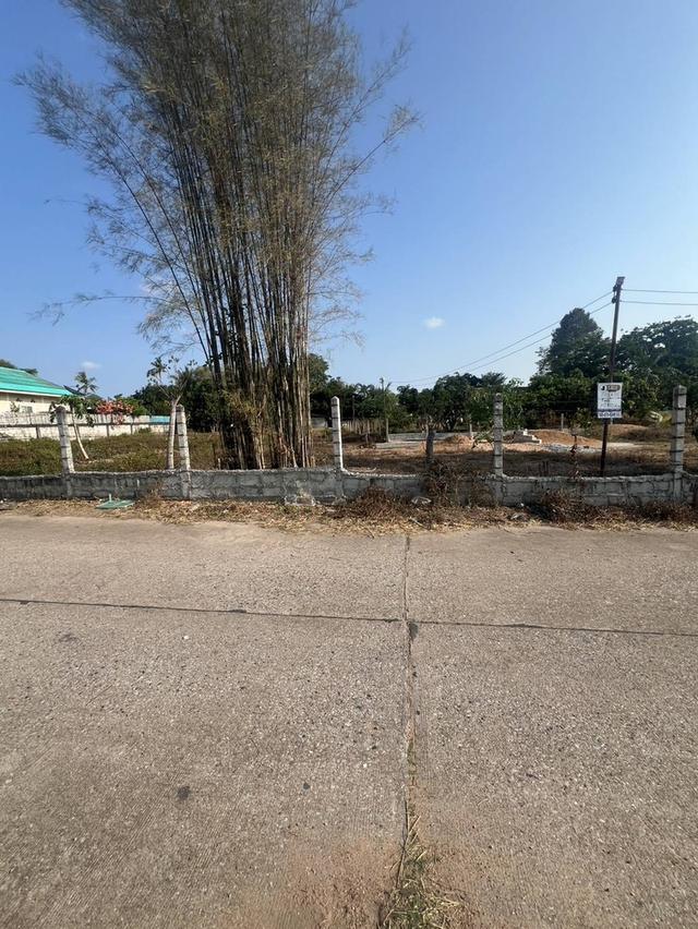 ที่ดินทำเลหลังตลาดจีนโบราณชากแง้ว ต.ห้วยใหญ่ อ.บางละมุง จ.ชลบุรี 7