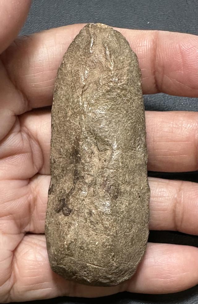 พระลีลาเนื้อดินทุ่งเหยียบดอก หลวงพ่อสุรินทร์ วัดลาดบัวขาว ราชบุรี พระมีประสบการณ์ดี รูปที่ 2