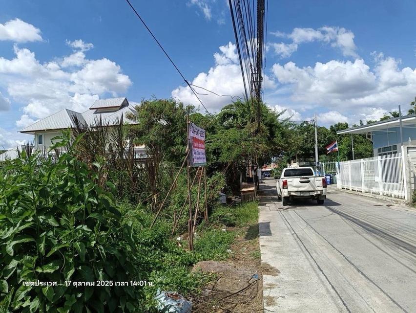 ขายที่ดินอ่อนนุช66(ประเวศ)ใกล้BTSอ่อนนุช 176 ตรว. ติดถนนทั้ง2 ฝั่ง ราคาดีเช็คราคาก่อนได้ ❤️ 3