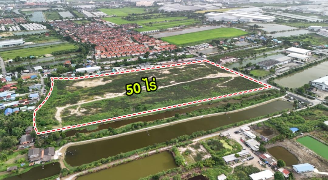 ขายที่ดิน50ไร่ ถ่มแล้ว 6