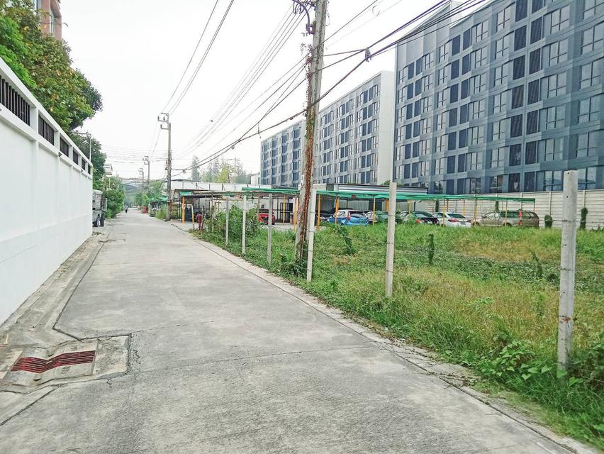 ขายที่ดินเปล่า 8 แปลง ซ.ลาซาล 59 4