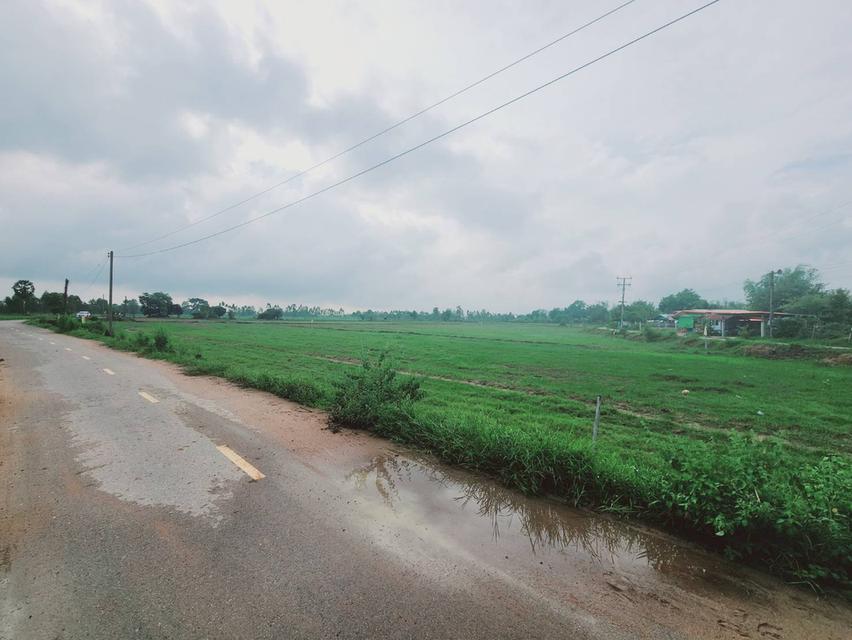สด-ผ่อน! ติดลาดยาง 1-2-00 ไร่ ยกแปลง 300,000 บาทเท่านั้น! 3