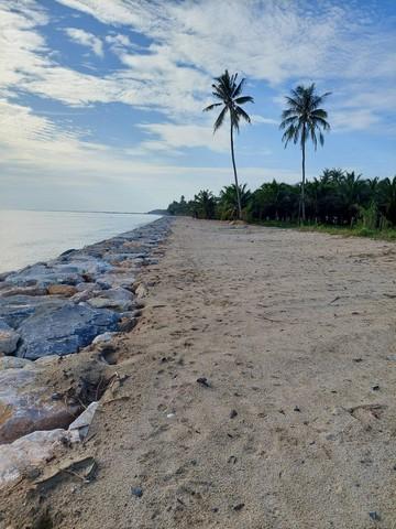 พื้นที่ดิน ที่ดินติดหาดทรายแก้ว ท่าศาลา จ.นครศรีธรรมราช พ.ท. 2 SQ.WA 1 Ngan 12 Rai 61283750 THB ไม่ไกลจาก ติดหาดหาดทรายแ 6