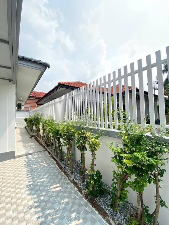 Hot deal Sirisa 11 only 3.19 Million 12