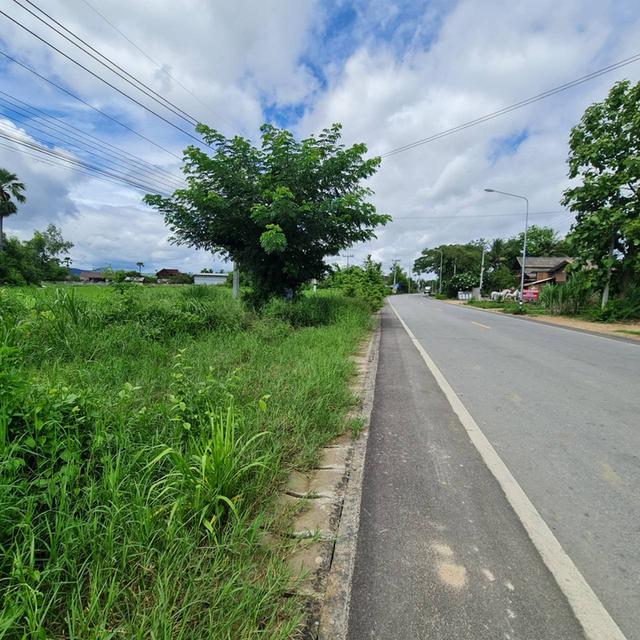 ที่ดิน แปลงหัวมุม อ.บ้านธิ จ.ลำพูน
