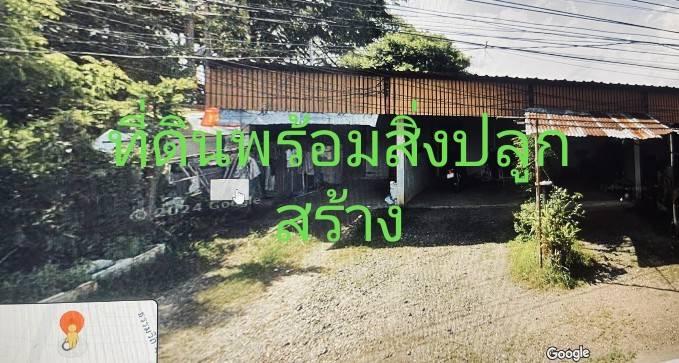 ด่วนขายที่ดิน อำเภอ จังหวัดอุบลฯ