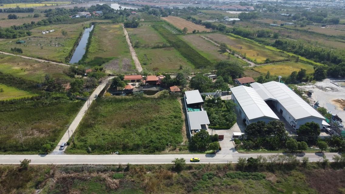 📊 ประกาศขายที่ดินเพื่อการลงทุน (Investment Grade Asset) 4