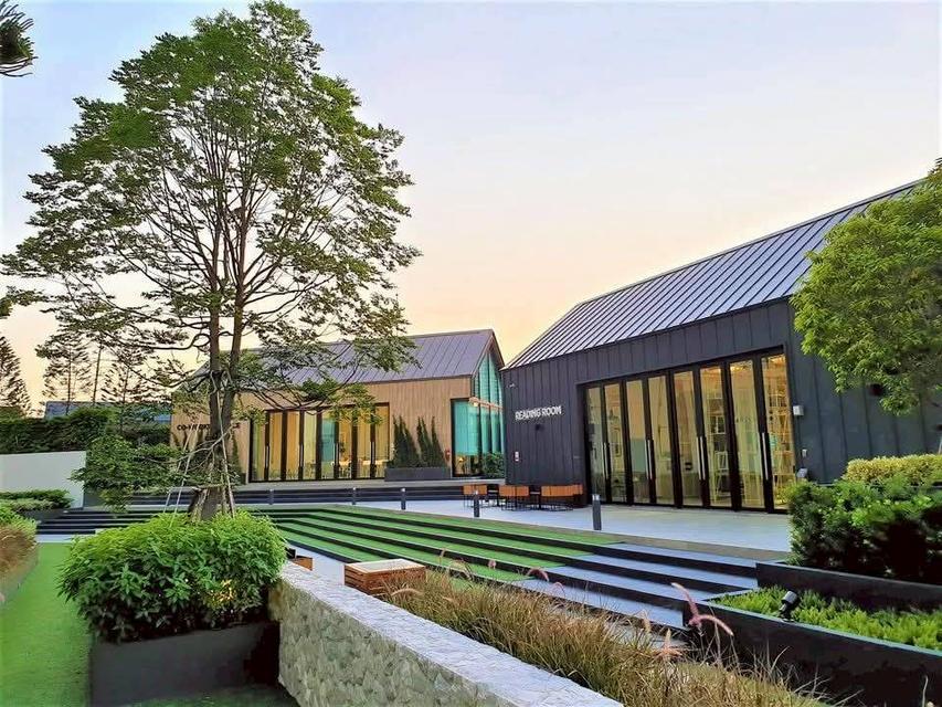 ให้เช่า คอนโด Chapter one eco-ห้วยขวาง 12