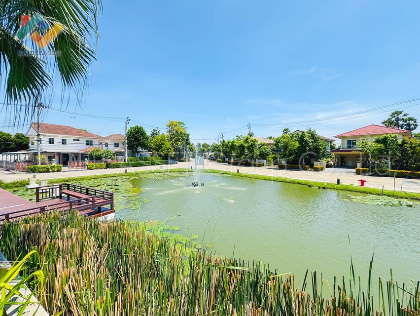 ชัยพฤกษ์ แจ้งวัฒนะ-ราชพฤกษ์ | บ้านเดี่ยว ปากเกร็ด ติดถนนใหญ่ 20