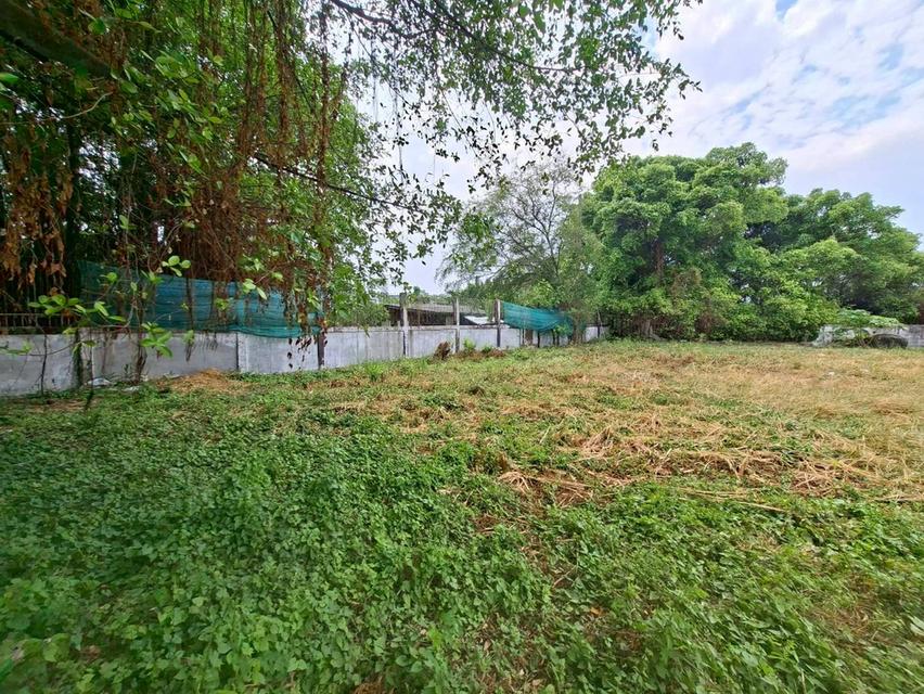 ขายที่ดินถมแล้ว พร้อมสิ่งปลูกสร้าง พื้นที่เยอะ ซอยสุขสวัสดิ์ 70 ใกล้รถไฟฟ้า สถานีครุใน (N.2026) 15