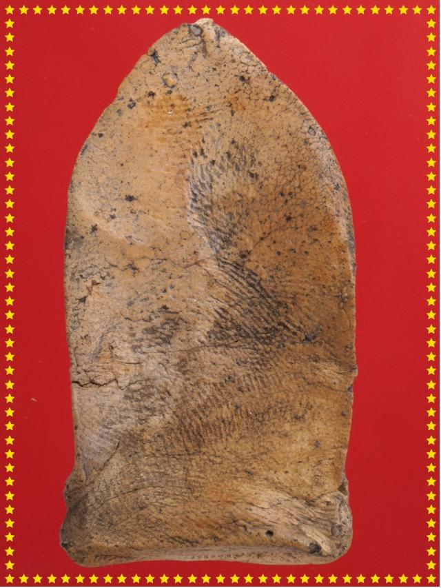 t59.พระลือโขง พระกรุ พระเครื่อง