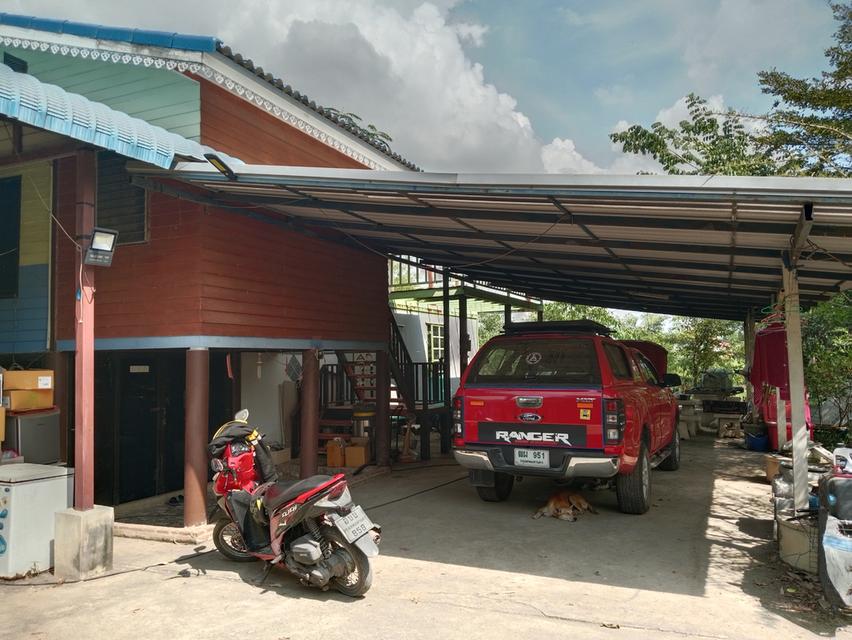 ขายบ้านสวน2ไร่ คลองหก คลองหลวง ปทุมธานี เส้นเดียวกับ ม.ราชมงคลคลองหก 11