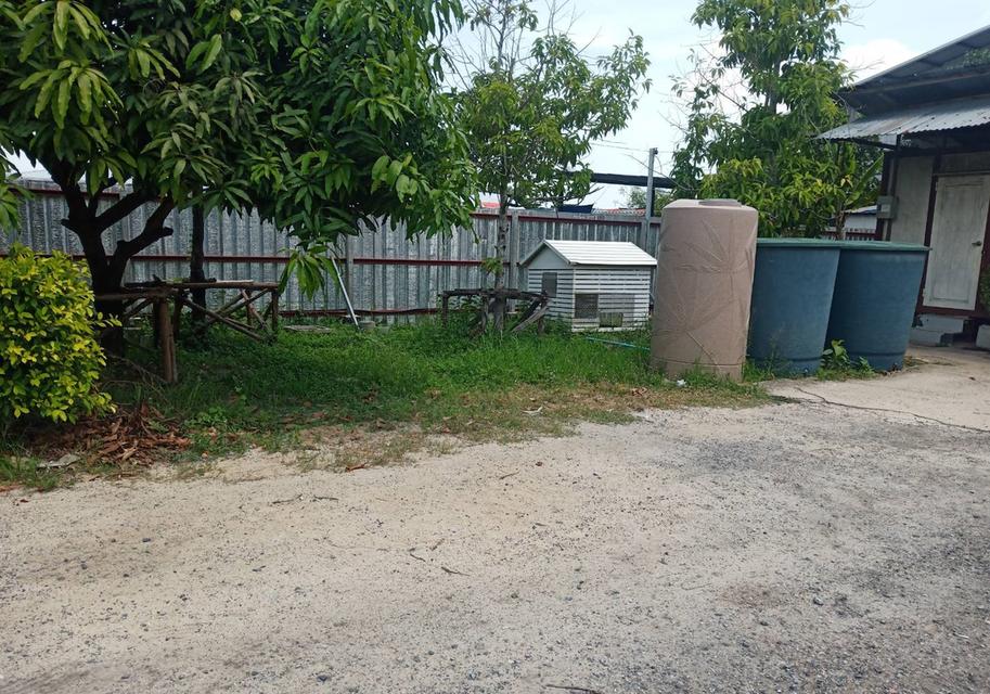 ขายที่ดินถมแล้วติดถนนสาธารณะ 2 ด้าน เนื้อที่  1 ไร่  ย่านถนนข้าวหลาม (คลองหลวง - คูคต)  ต.คลองสาม อ.คลองหลวง จ.ปทุมธานี 2
