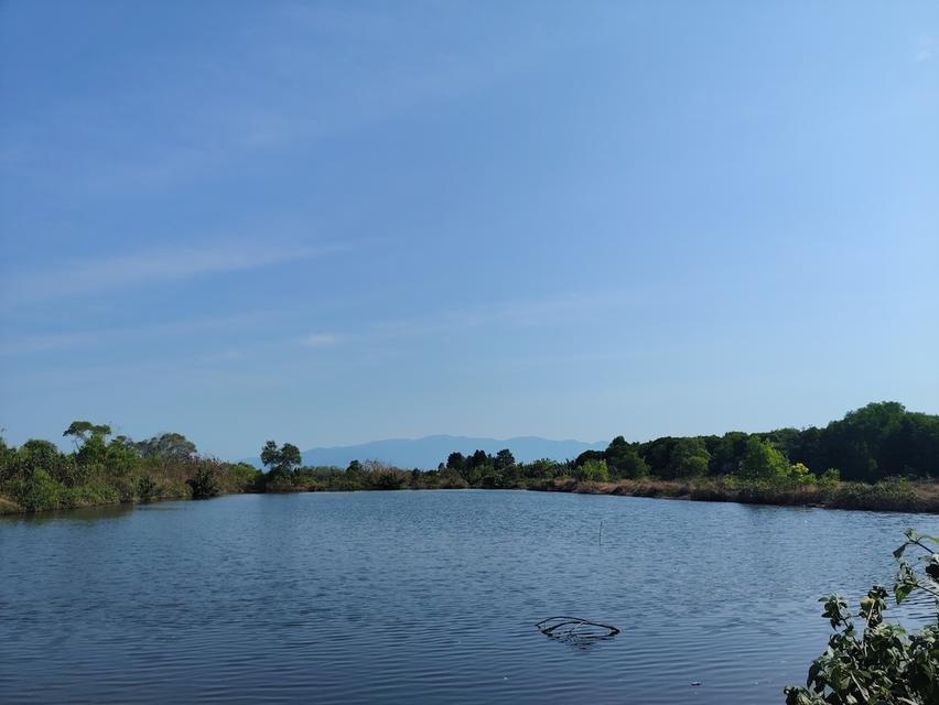 ที่ดินติดถนนสุขุมวิทแหลมสิงห์ 4