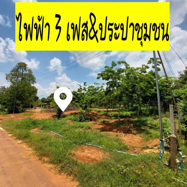 ที่ดินวิวสวย 5 ไร่น้ำ&ไฟ โฉนดพร้อมโอนปากช่อง 2
