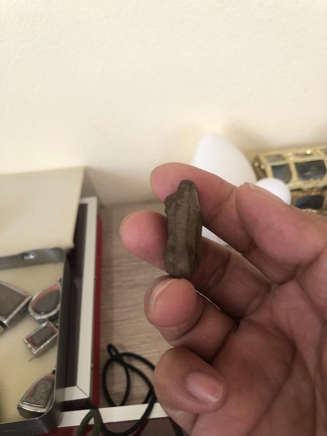 หลวงปู่ทวดเมืองยะลา 2505 เนื้อโอวัลติน รูปที่ 5