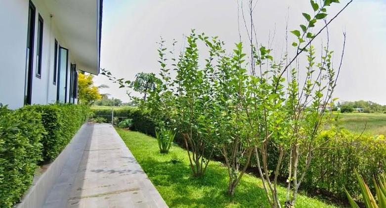 ขายบ้านสวนวิวสวย พื้นที่กว้าง 2ไร่ บรรยากาศเงียบสงบ สำหรับอาศัยหรือทำรีสอร์ท ดอยสะเก็ด ใกล้เมืองเชียงใหม่. 9