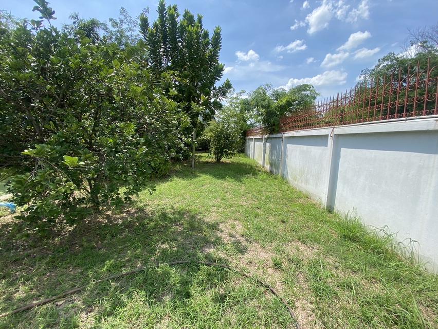 🏗🏢 ขายที่ดินพร้อมสิ่งปลูกสร้าง 2ไร่ 18ตร.วา ติดถนนใหญ่ (ปิ่นเกล้า-นครชัยศรี) 14