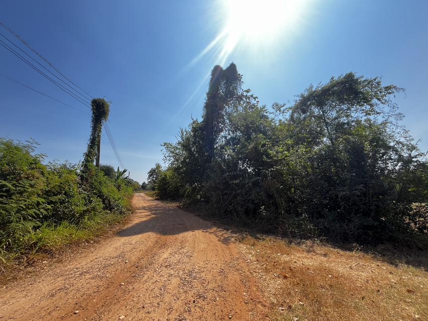 ขายที่ดินสำหรับทำการเกษตร ในเขตอำเภอเมือง ขอนแก่น 6