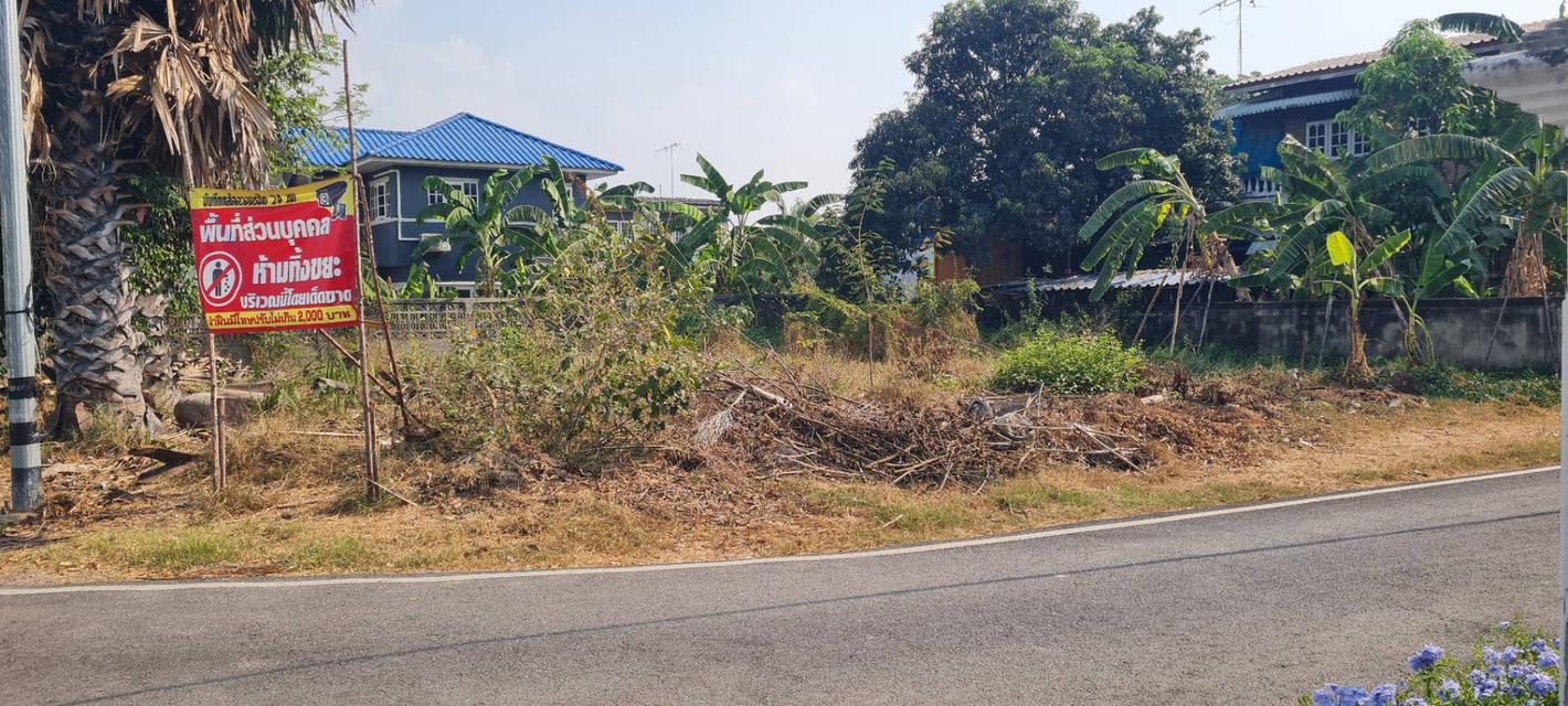 ขายที่ดิน 100 ตารางวา ตำบลท่าวาสุกรี (คลองสระบัว) อำเภอพระนครศรีอยุธยา จังหวัดพระนครศรีอยุธยา 4