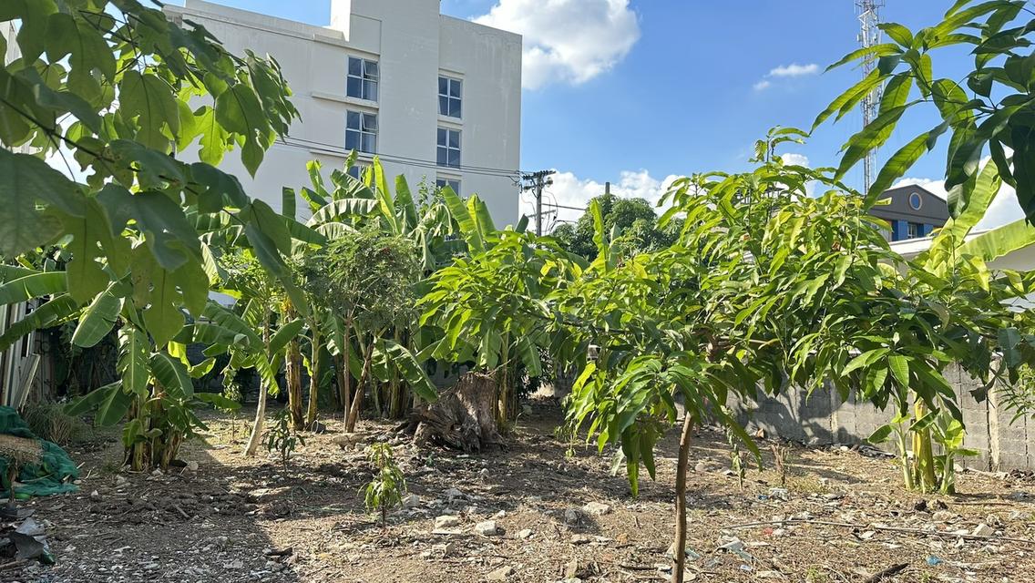 ขายที่ดิน 100 ตร.วา ซ.ประดิษฐ์มนูญธรรม 6 ใกล้ทางด่วน ทำเลชุมชน เข้าเมืองง่าย เดินทางสะดวก 3