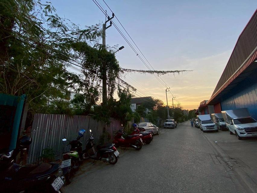 Vายถูกที่ดินใกล้รถไฟฟ้า 100 ตารางวา ซอย รามอินทรา 62 เขตบางกะปิ กรุงเทพมหานคร 9