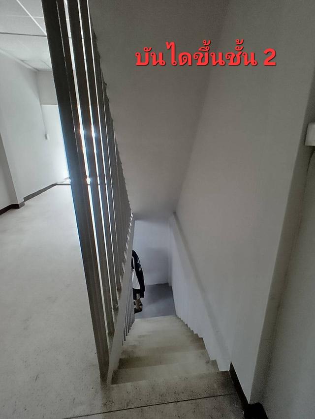 อาคารพาณิชย์ 3 ชั้น ใหม่ 17
