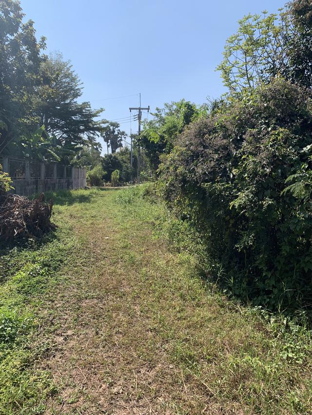 ขายที่ดินสันทราย ต.ป่าไผ่ ใกล้ตลาดป่าเหมือด ม.แม่โจ้ 6