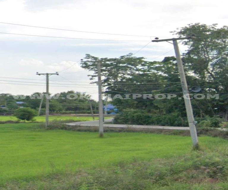 ที่ดิน ถ.ทล.ชนบทพิจิตร3016 ต.วังสำโรง อ.บางมูลนาก จ.พิจิตร 9