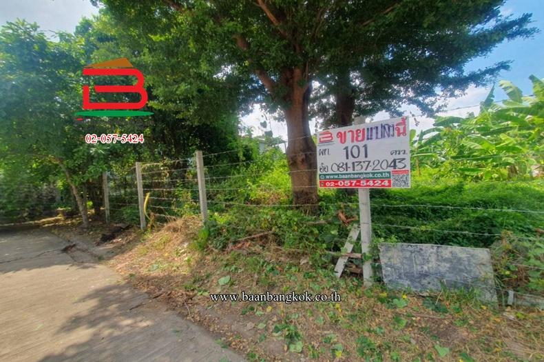 ที่ดินเปล่า หมู่บ้านสินธร รังสิต (ซอย D1,D2) เนื้อที่ 101 ตรว. ใกล้ดูโฮม บางพูน ตำบลบางพูน อำเภอเมืองปทุมธานี จังหวัดปทุมธานี 5