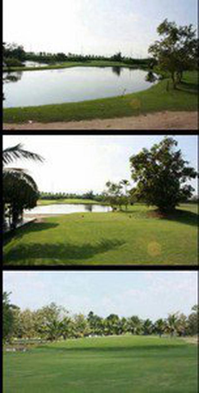 ขายสนามกอล์ฟศรีพูนทรัพย์ จังหวัดกำแพงเพชร    6