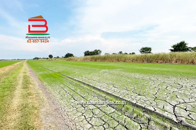 ที่ดินเปล่า เนื้อที่ 5 ไร่ คู้คลองสิบ แยก12 ถนนคู้คลองสิบ แขวงคลองสิบ เขตหนองจอก 2