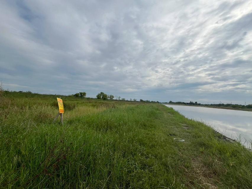 ขายที่ดินเปล่า ซอยผดุงพันธ์21 หนองจอก กรุงเทพมหานคร 3