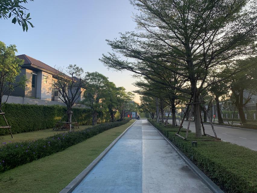 บ้านเดี่ยว หมู่บ้านเวนิว พระราม 9 ไม่เคยเข้าอยู่ 13