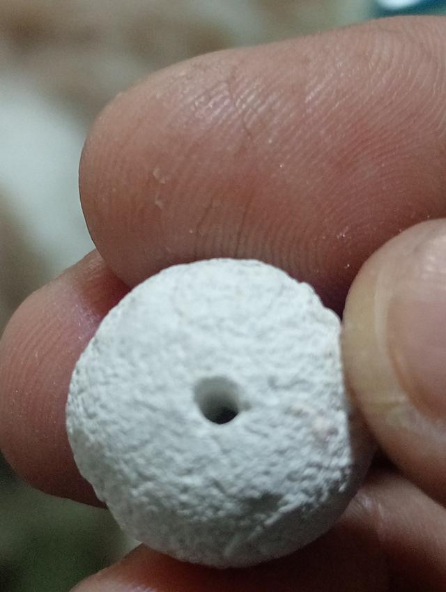 ลูกอมหลวงปู่ดู่ วัดสะแก 7