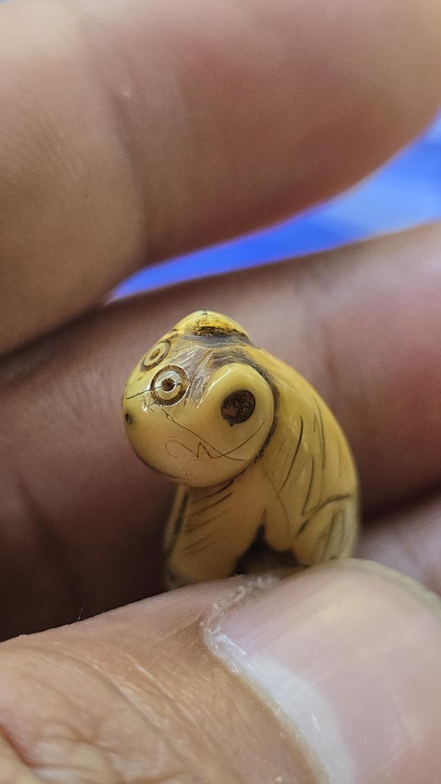 เสือแกะหลวงพ่อปาน วัดคลองด่าน 7