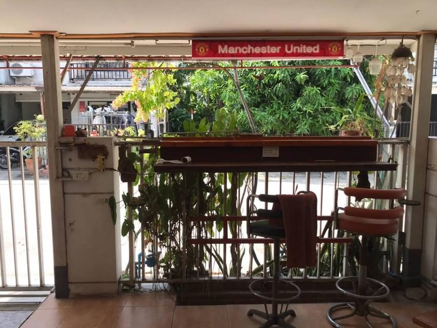 บ้านพฤกษา61 16