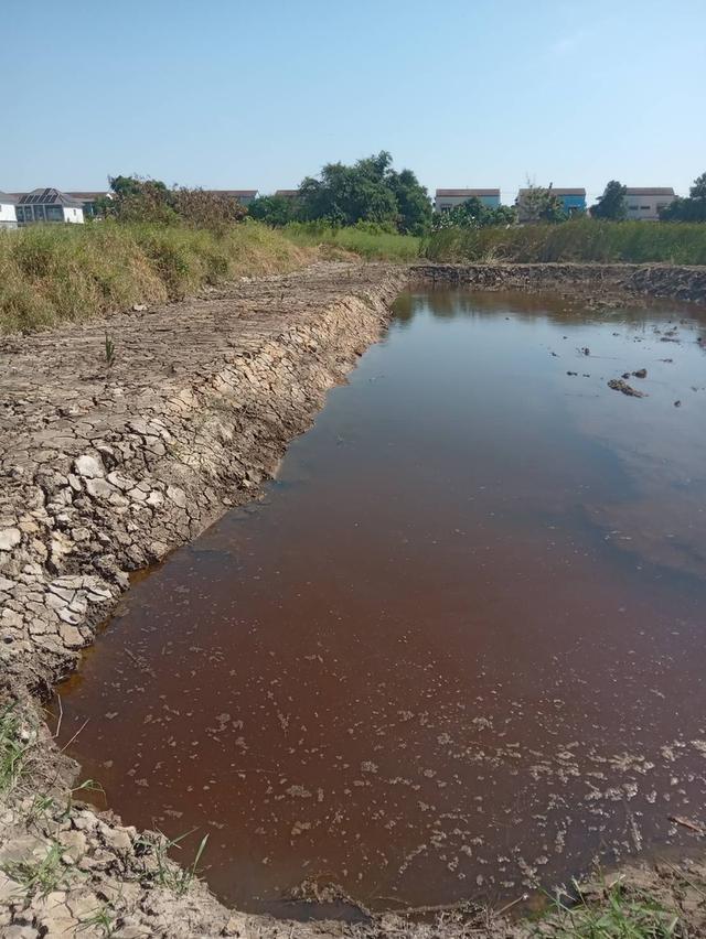 ขายที่ดินเปล่า 525 ตารางวา ติดถนนคอนกรีต ซอยเทศบาลบางปู 83 8