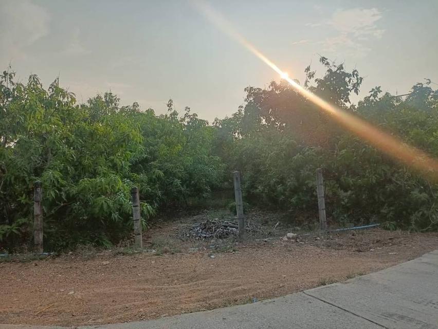 ขายที่ดินโฉนดครุฑแดง (เจ้าของขายเอง) 15