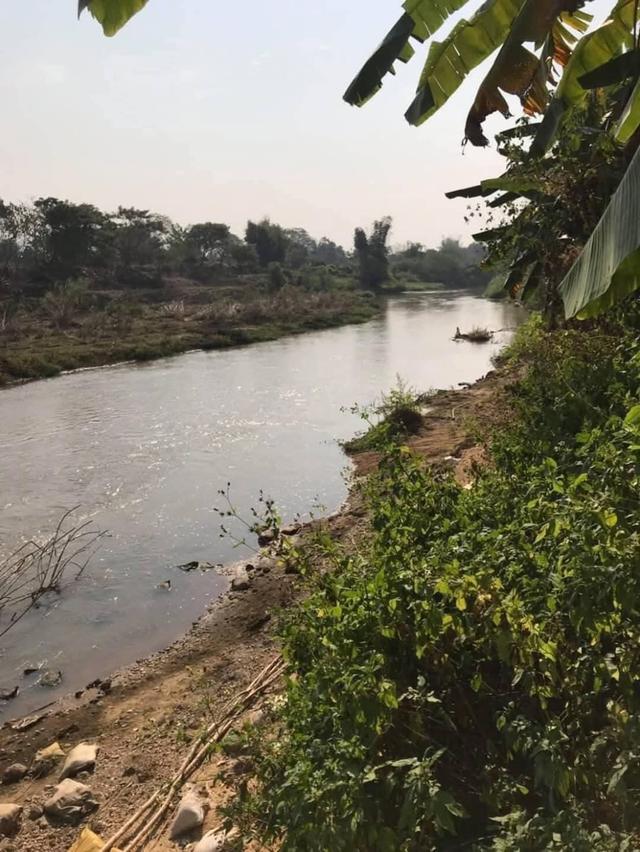 ขายที่ดินแม่ริม เชียงใหม่ 2