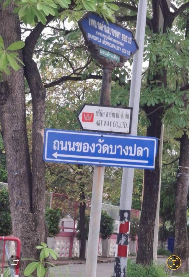 Vายถูกที่ดินถนนบางปลา 445 ตารางวา ติดถนนคอนกรีตสาธารณะ เทศบาลบางปลา ซอย 15,17 เมืองสมุทรสาคร 1