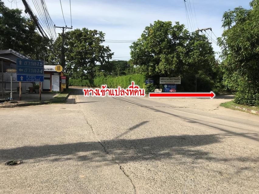 ที่ดิน กาดฝรั่ง หมู่บ้านธารดง ปาร์ควิว เชียงใหม่ 5