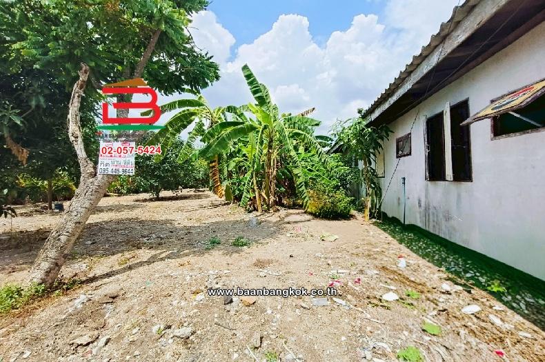ขาย/เช่า ที่ดินเปล่า เลี่ยงเมืองปากเกร็ด 41 เนื้อที่ 149 ตร.ว (ใกล้โรงเรียนชลประทานวิทยา) ตำบลบางตลาด อำเภอปากเกร็ด จังหวัดนนทบุรี 8